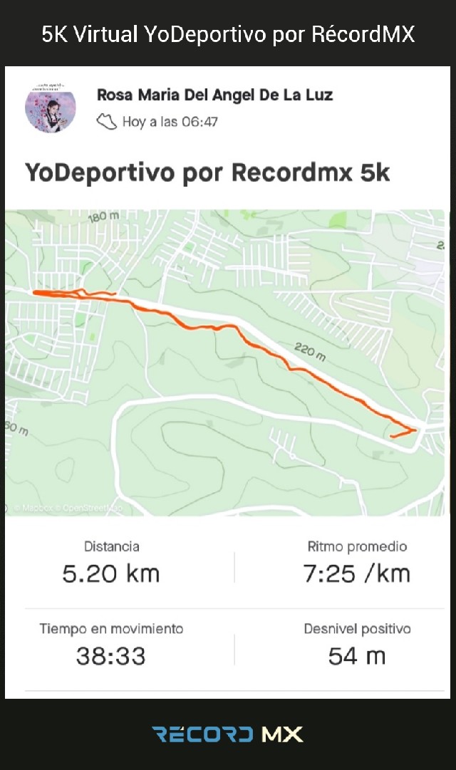 rosa maria del angel de la luz