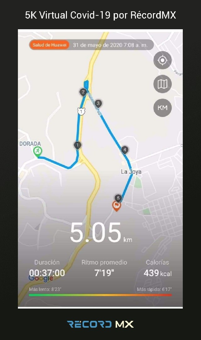 rosa maria del angel de la luz