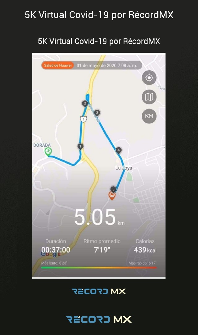 rosa maria del angel de la luz