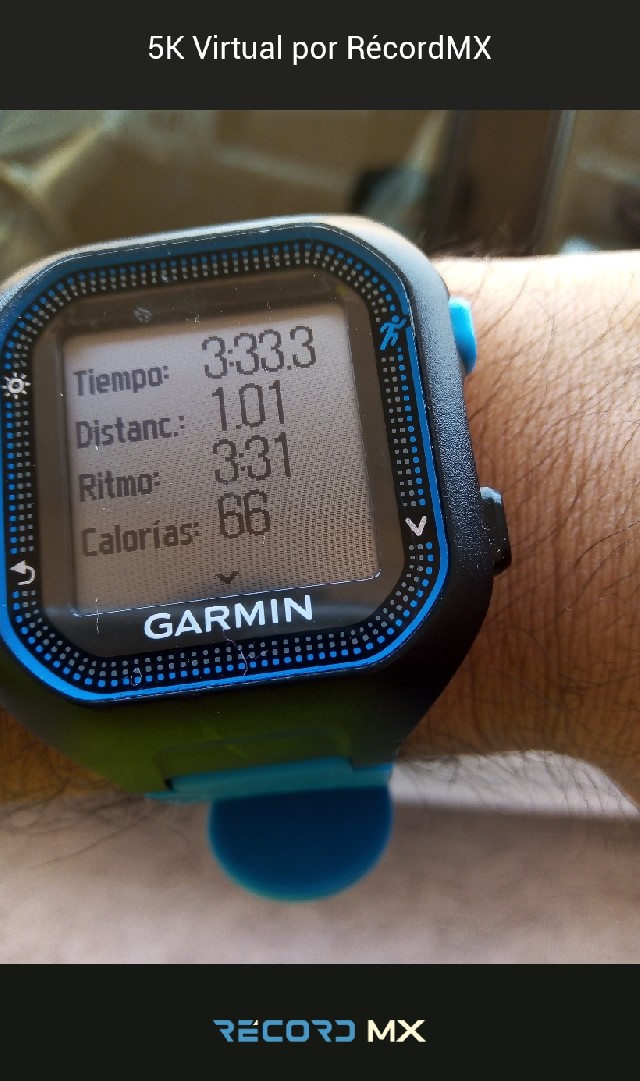 Andrés  Lozano Morales