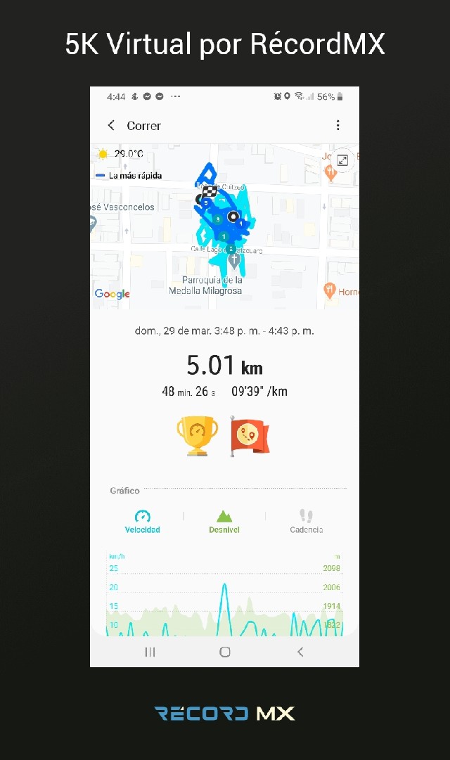 Martha Elena  Rangel Arreola 