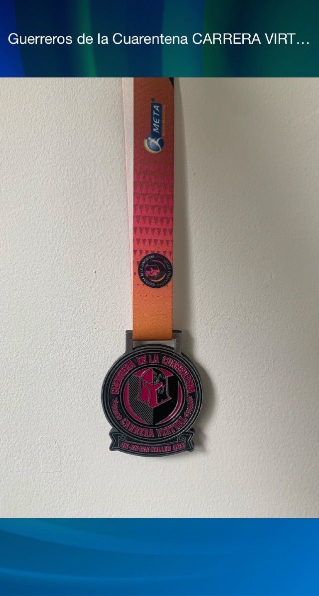 Raquel  Palmieri Retana