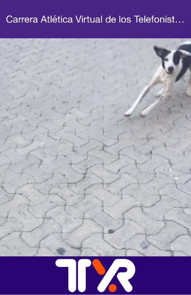 Abraham  Marquez Cabrera