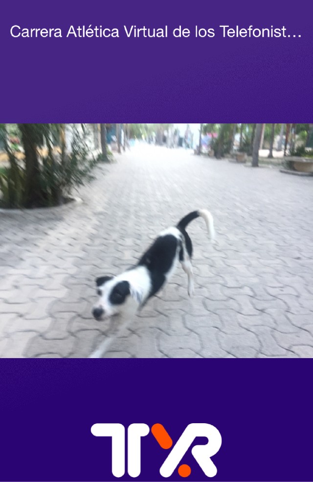 Abraham  Marquez Cabrera