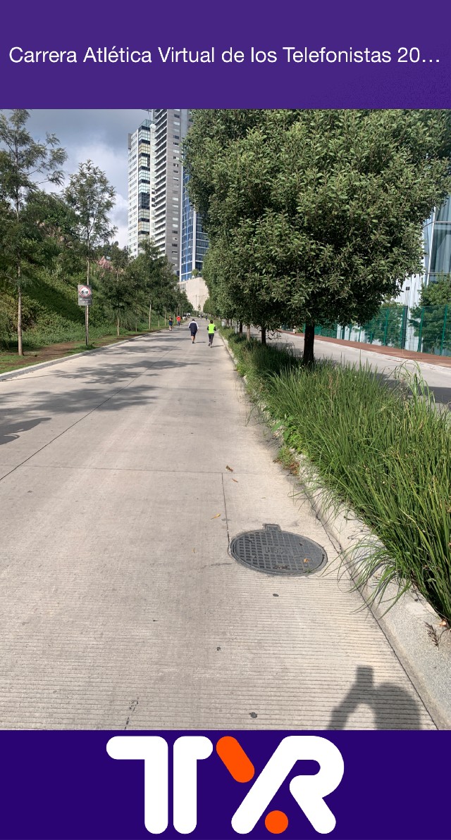 Marisol alcantara  chavarria