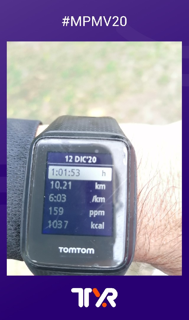 Carlos Gustavo  Herrera Dávila 