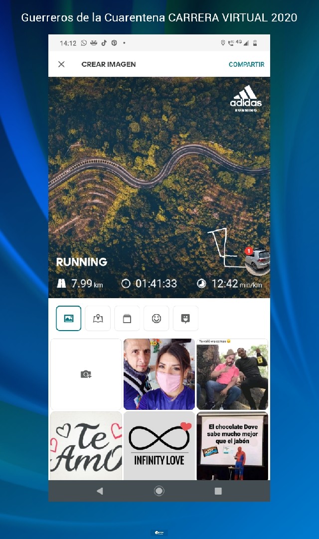 Diana Paola Mireles Saucedo