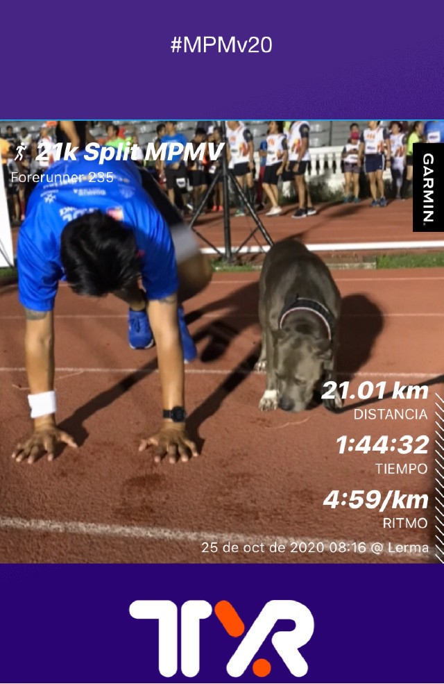 Francisco Cobos Mendez 