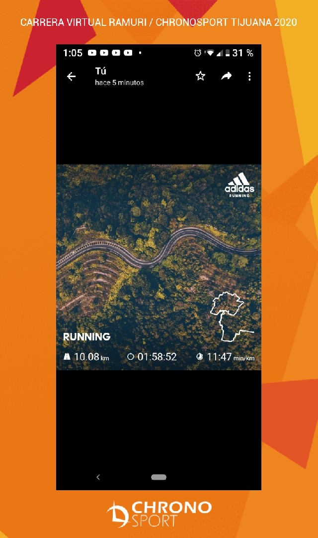 Ana María Zirate cortés