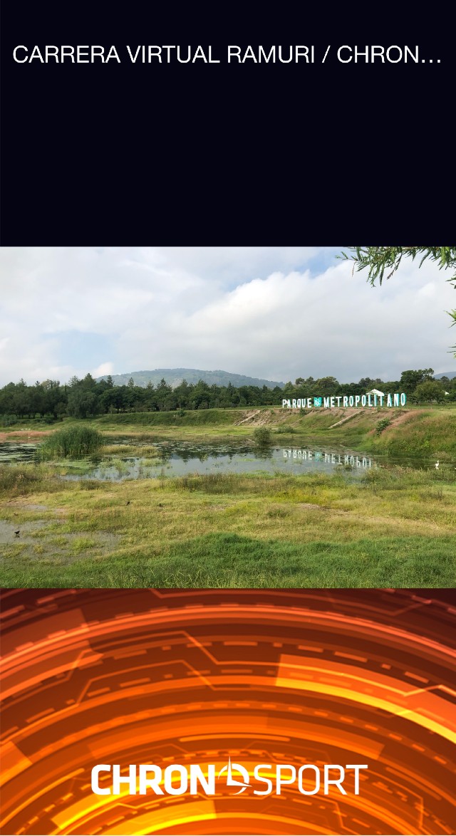 Alejandra  Cortes Coronel 