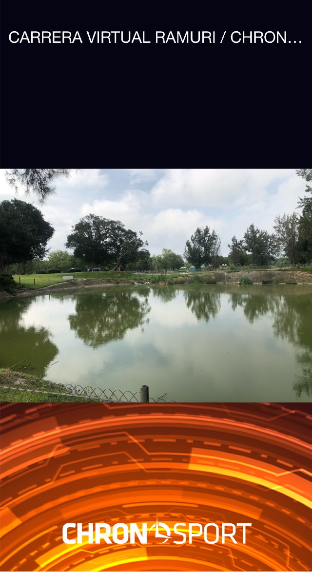 Alejandra  Cortes Coronel 