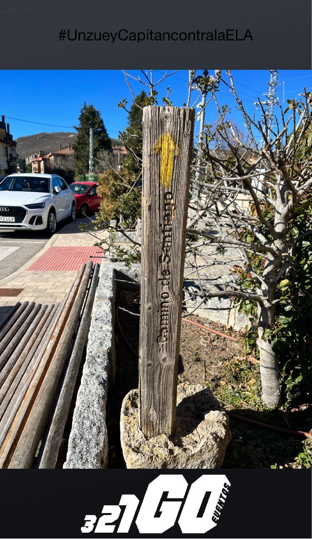 RAQUEL CHAMON  DE ALBA