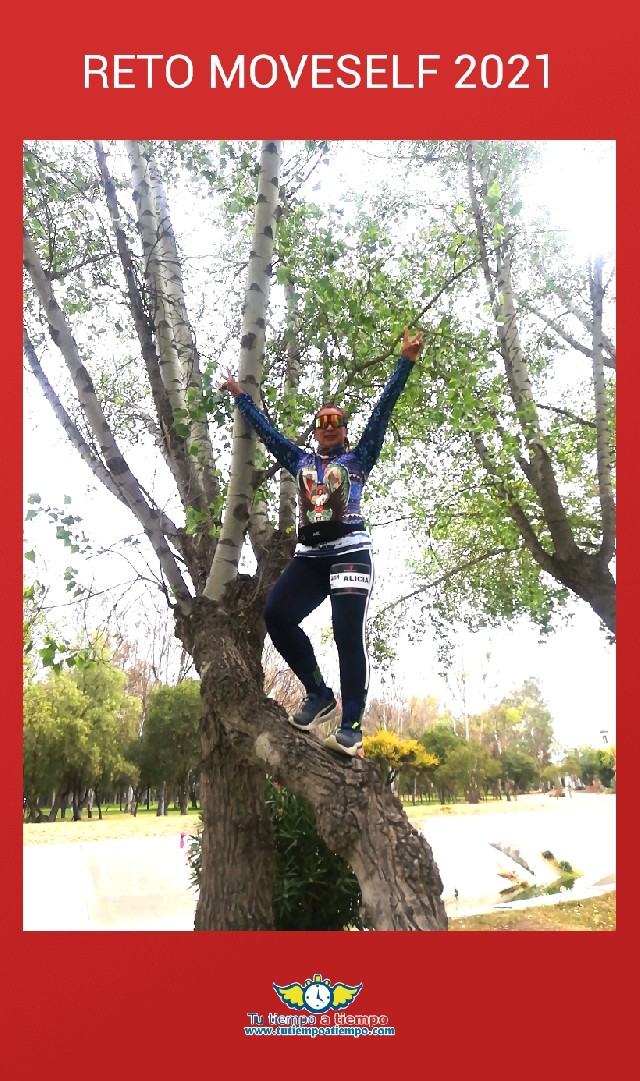 Alicia Meléndez Montañez