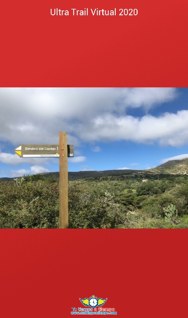 Liliana Guadalupe  Preciado Díaz 