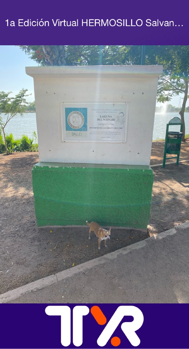 JOSÉ LUIS OSEGUEDA OSEGUEDA