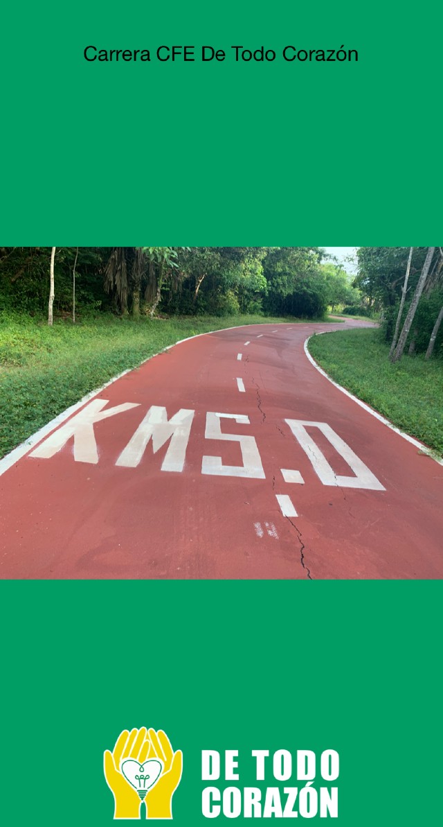 María de Lourdes  Montoya Godinez