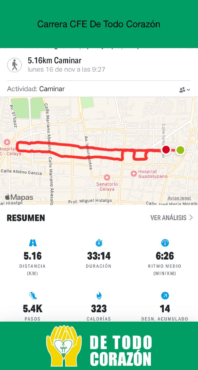 María de Lourdes  Montoya Godinez