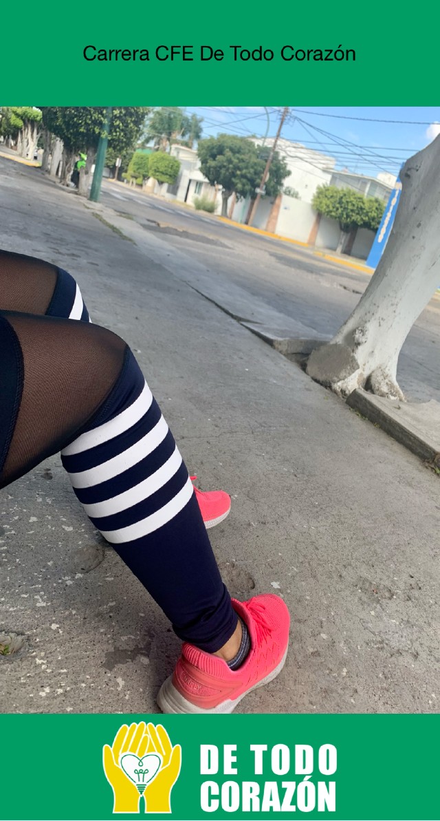 María de Lourdes  Montoya Godinez