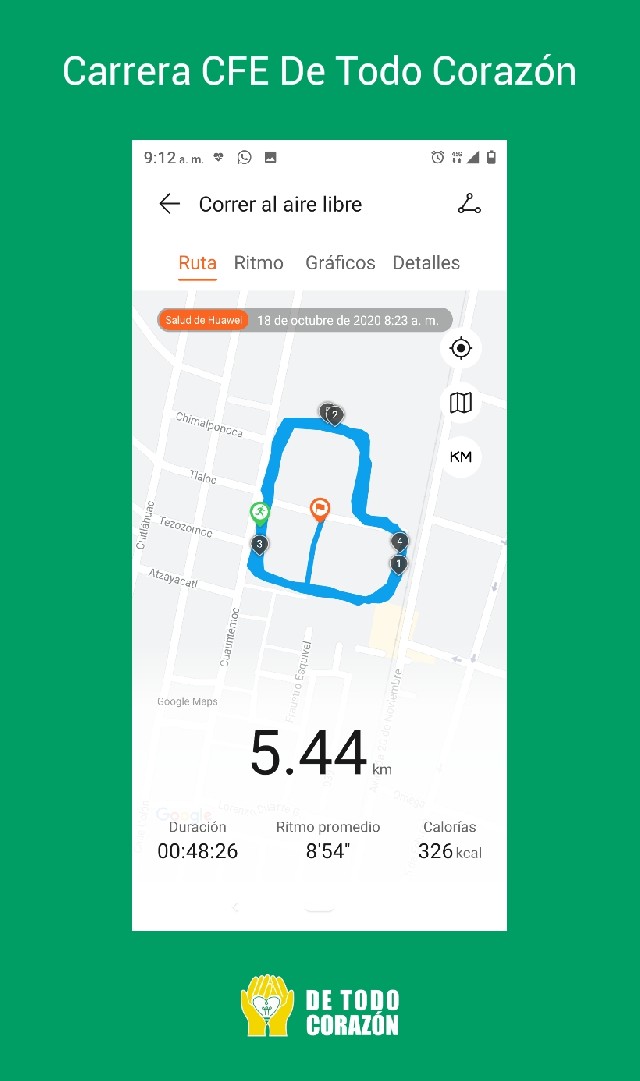 María Isabel Molina Nieto