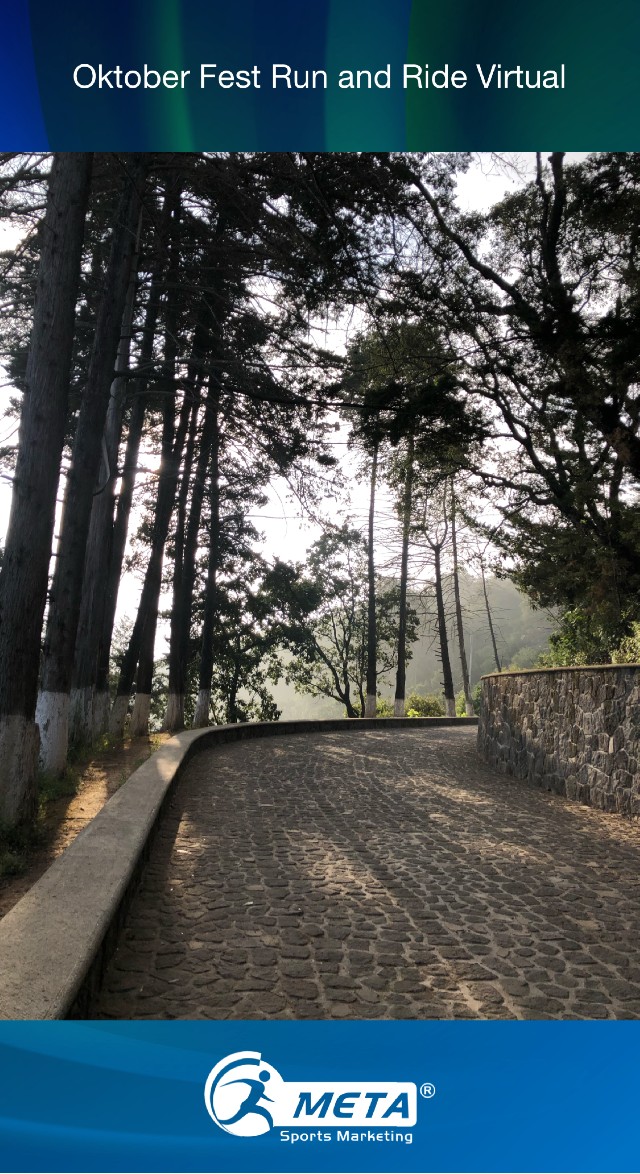 Martha Lizeth  Hernandez Pahua 