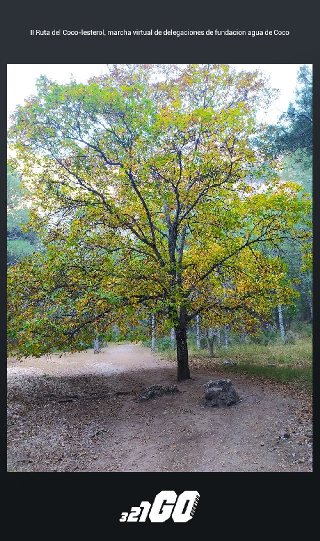 javier lopez del amo