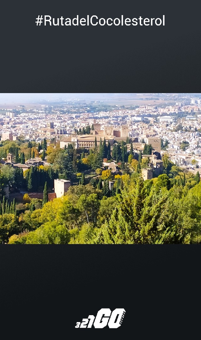 javier lopez del amo