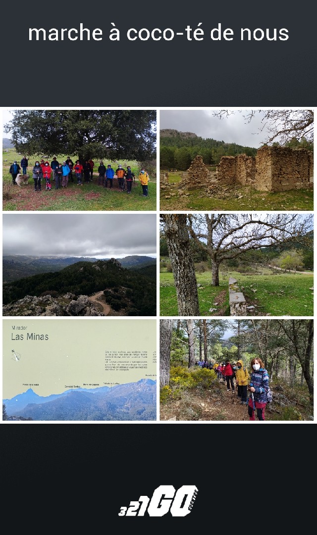 javier lopez del amo