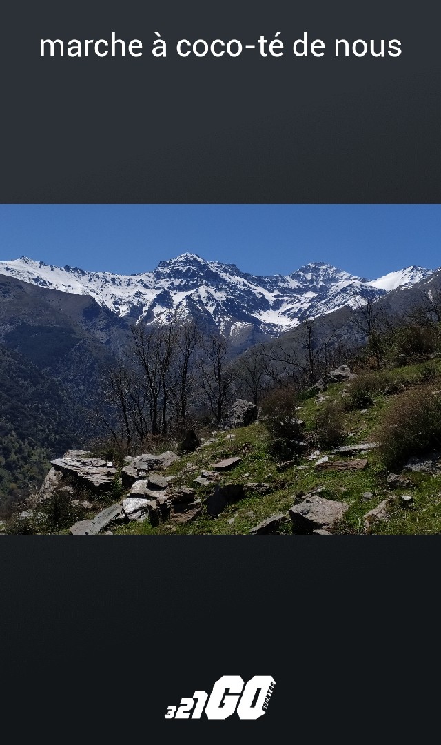 javier lopez del amo