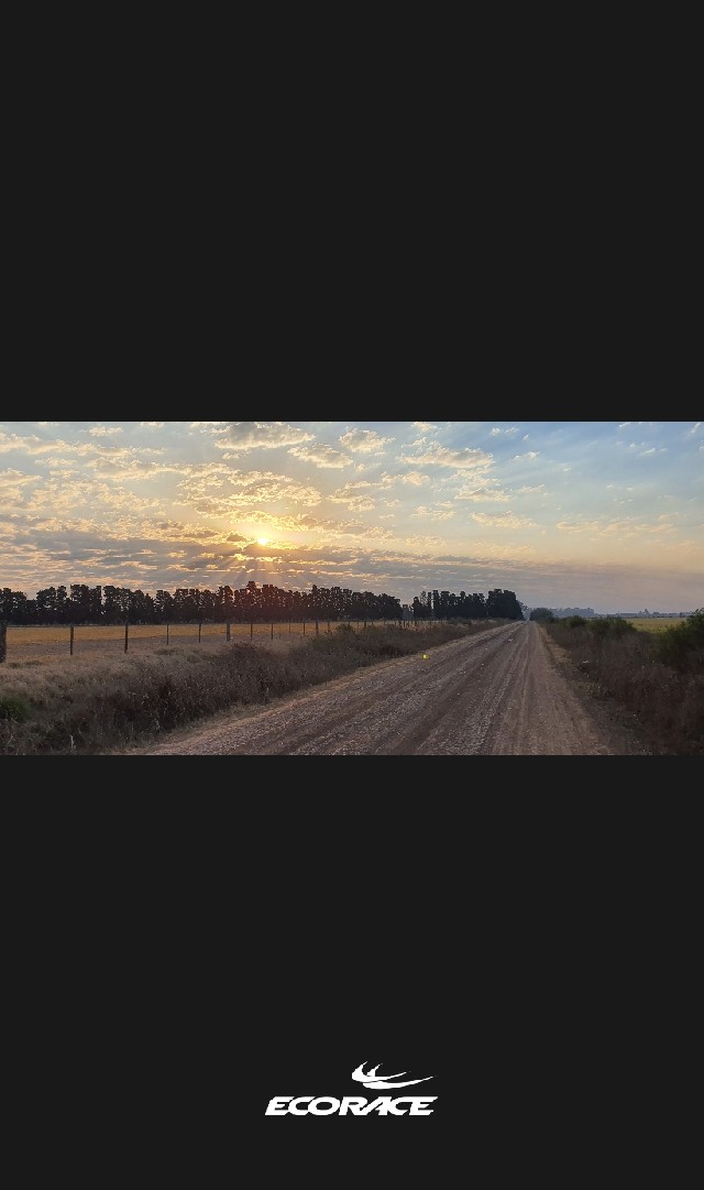 julio Roman buzatto angel
