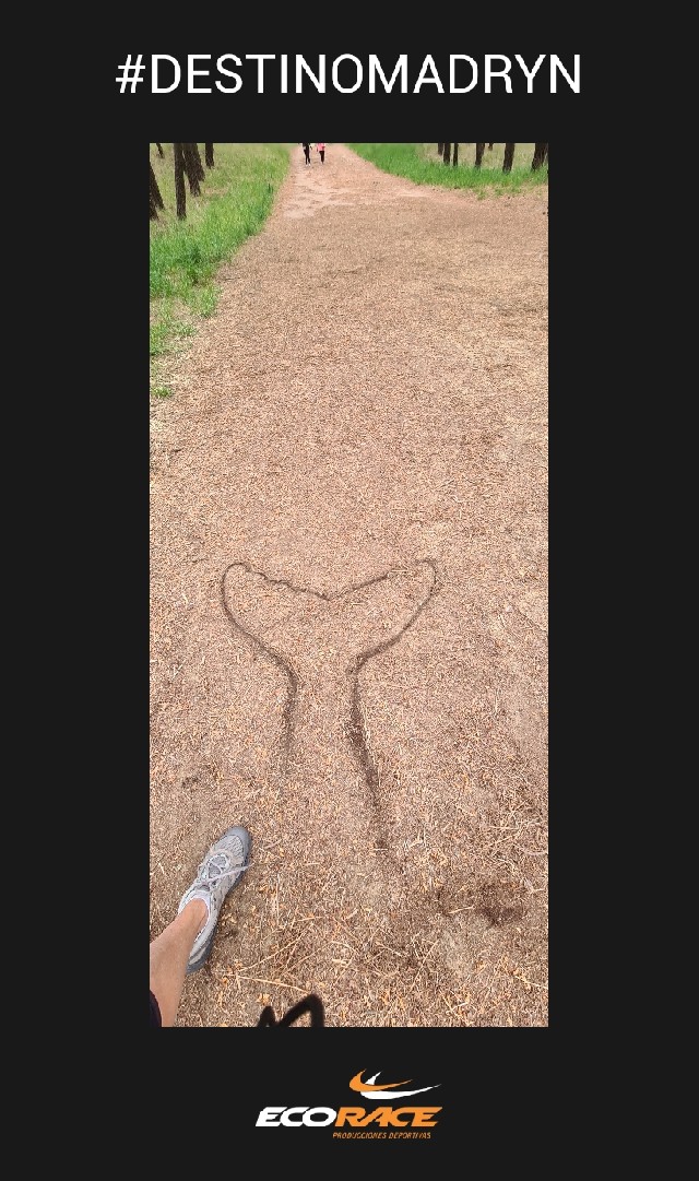 Marcela  Vivas Urrutia 