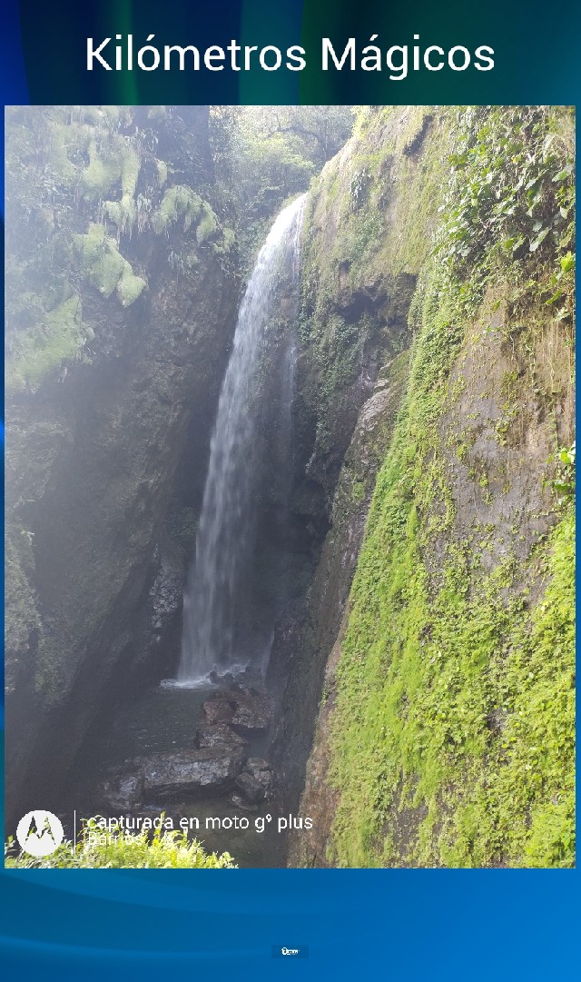 Marcos Manuel Barrios Molina