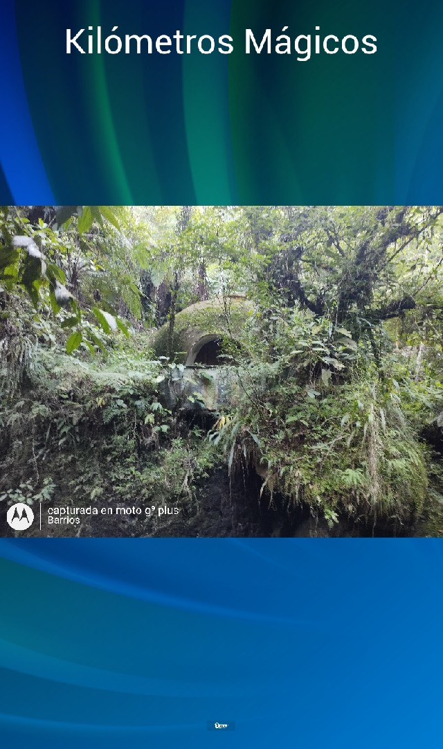 Marcos Manuel Barrios Molina