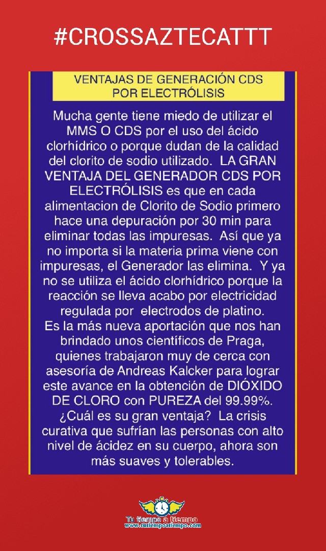 Nelva Patricia Chi Silveira