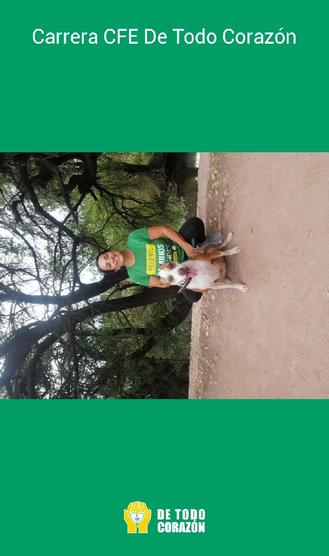 María Elena Torres Barrón