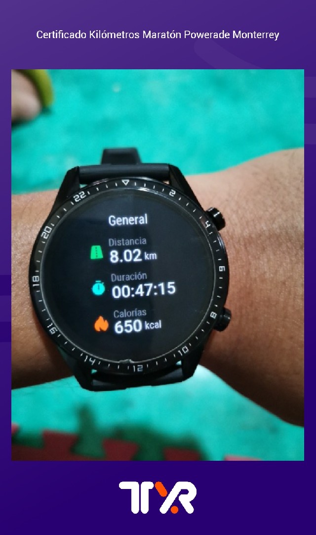 edward Antonio  mancilla estrada 