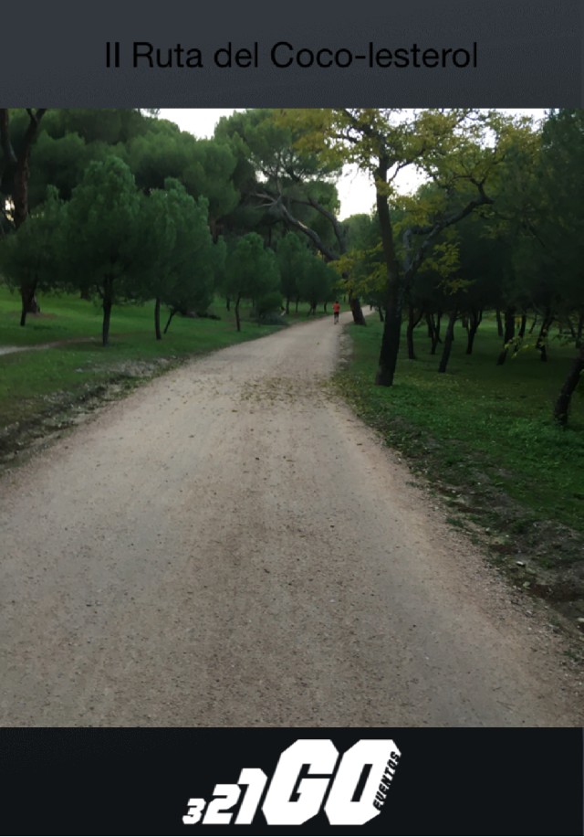 Patricia  Torres-Muñoz