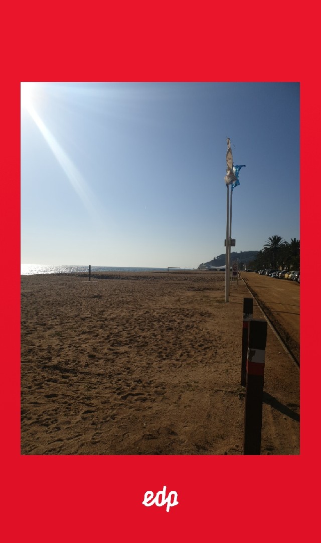 Adrian  Roses Maldonado 