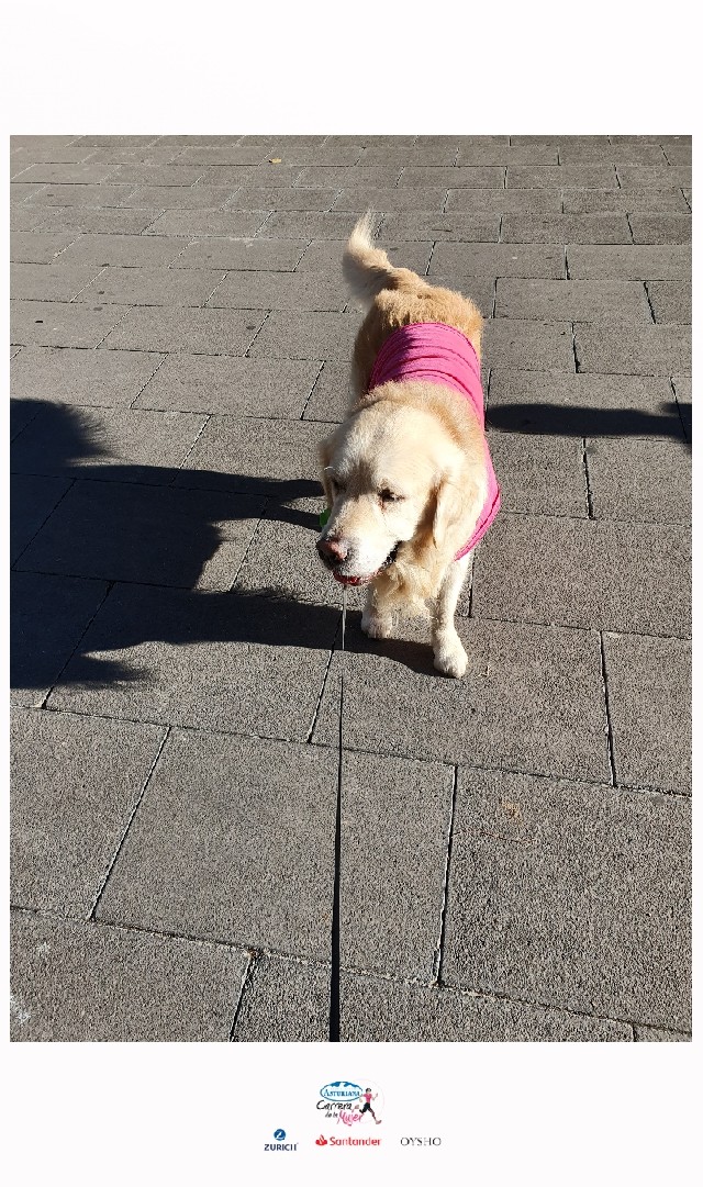 María Natividad Charro Martin