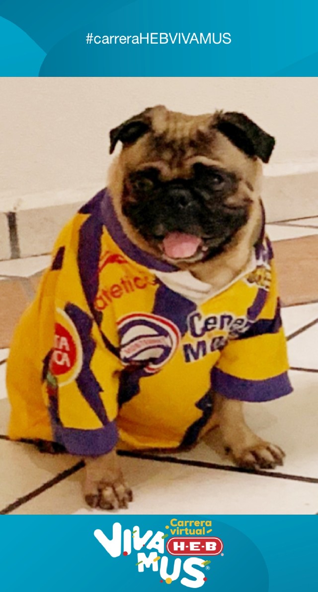 Jaime Rogelio  Martinez Avila