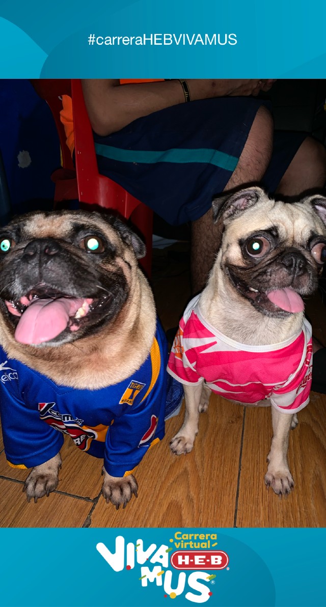 Jaime Rogelio  Martinez Avila