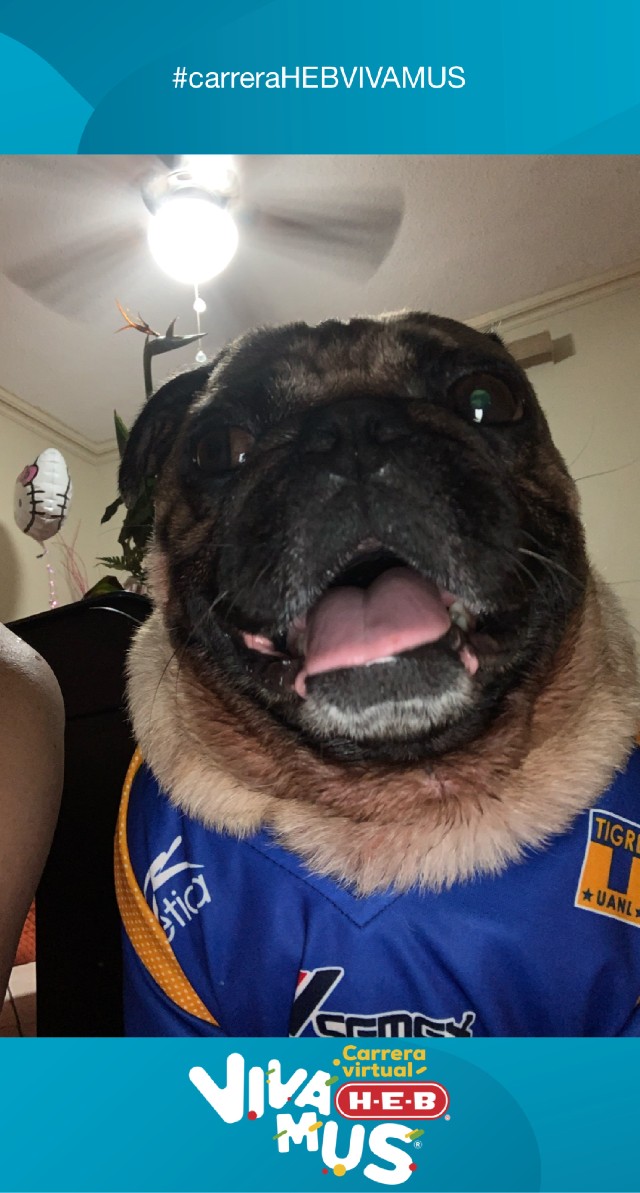 Jaime Rogelio  Martinez Avila