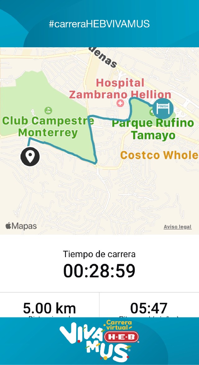 Cameli Torres Ferraez