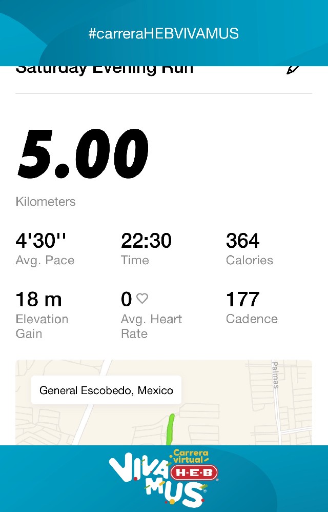 Juan Carlos  Villarreal tamez