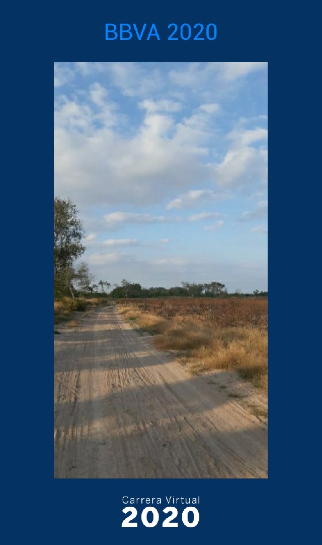 Daniel Vazquez Martinez