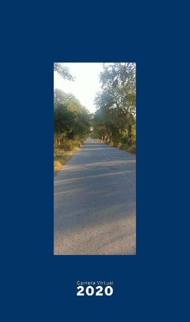 jorge alberto avila castro