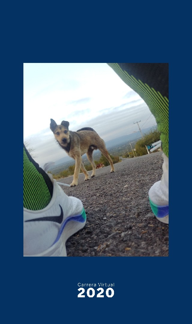 jorge alberto avila castro