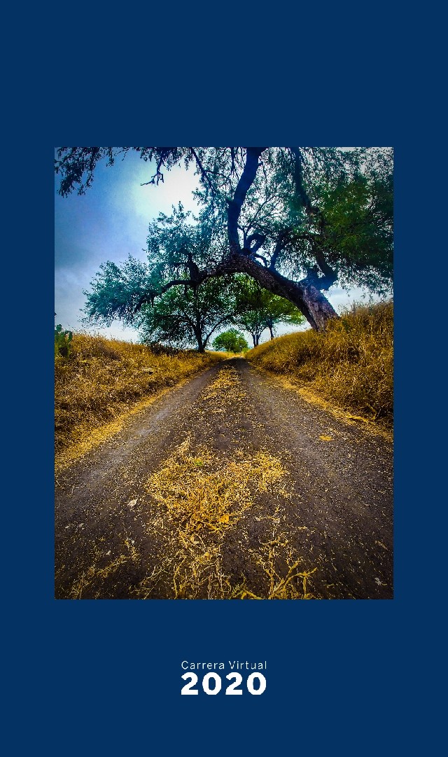 jorge alberto avila castro