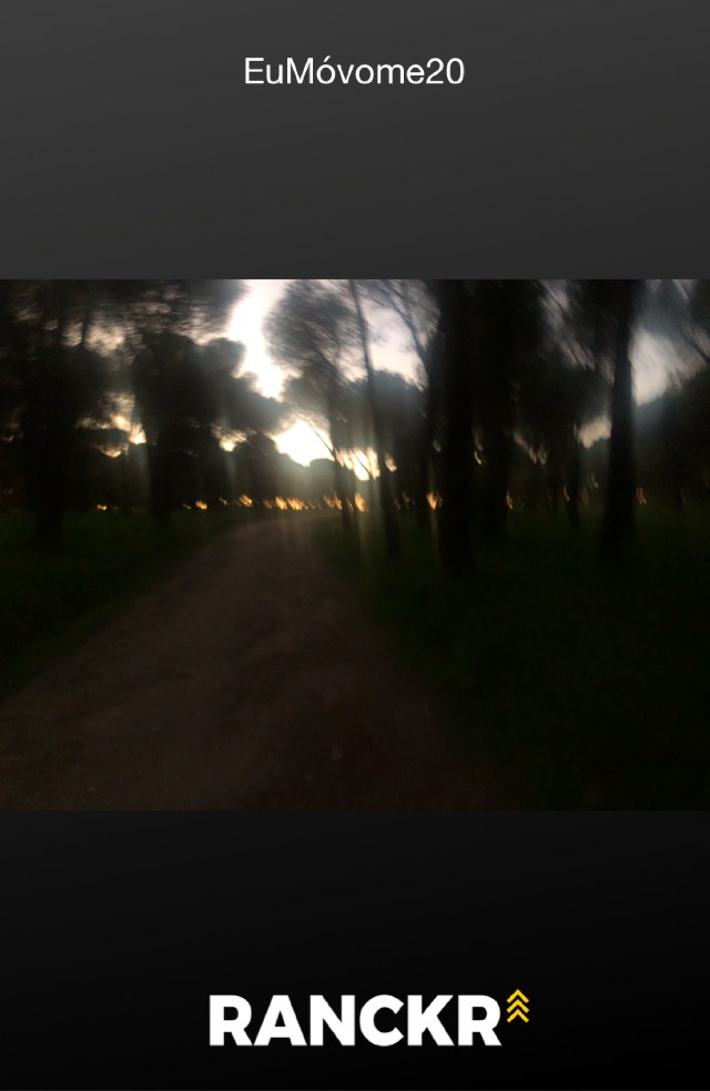 Gisela  gutierrez Demichelli