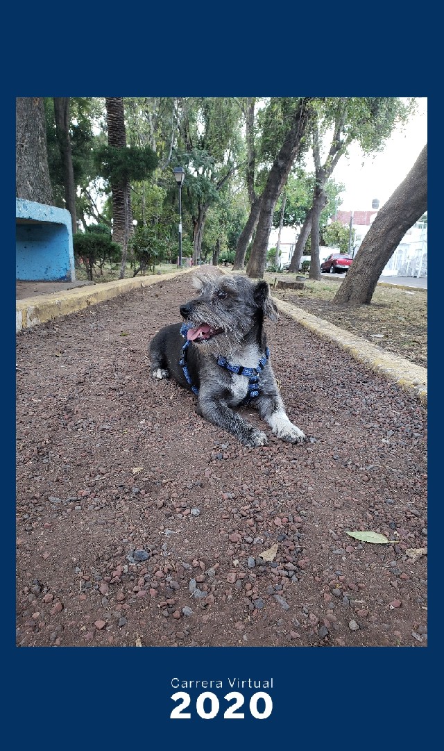 Brenda Tinoco icy.nyxx