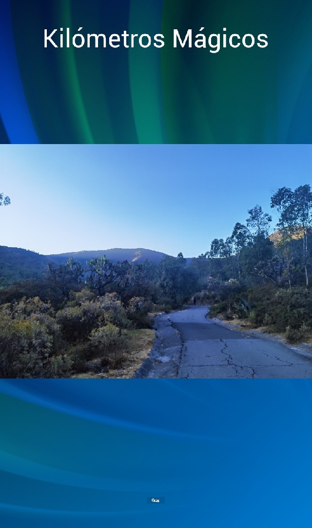 Liliana Ivonne González Morales